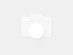 LABCONCO冻干机真空泵维修与更换